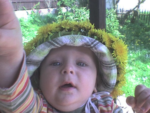 Snmek 096.jpg